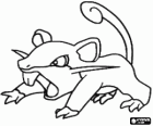 Rattata - Pokémon type Normal, rat attaquant rapide