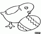 Poussin regardant un oeuf de Pâques décorés