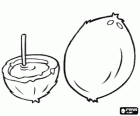 Cocos, un entier et l'autre parti avec l'eau de coco