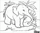 Puzzle d'éléphant dans la jungle