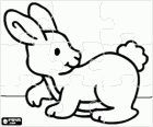 Puzzle de lapin