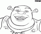 Visage de Shrek, l'ogre heureux et souriant