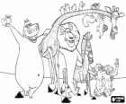 Gloria l'hippopotame, Melman la girafe, Alex le lion, Marty le zèbre avec d'autres protagonistes de les aventures
