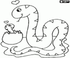 Serpent femelle avec son petit vient de casser l'écorce de l'oeuf