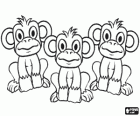 Groupe de trois petits singes avec les yeux et les oreilles grands ouverts