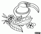 Toucan dans une branche fleurie