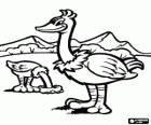 Deux autruches dans le paysage, l'autruche est un grand oiseau de non voler
