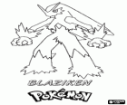 Blaziken est la forme finale d'un Torchic, après l'évolution à Combusken
