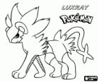 Luxray est l'évolution finale de Lixy et Luxio, un Pokémon de type électrique, ses yeux peuvent voir à travers n'importe quoi