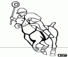 Joeur et cheval à pratiquer polocrosse, sport équestre, mélange entre le polo et le jeu améridien lacrosse