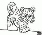 Un bébé tigre ou un petit tigre