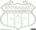 Bouclier de FC Steaua Bucarest, Fotbal Club Steaua București, club de football roumain