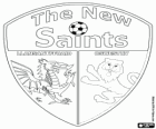 Logo de la FC New Saints, club de football du Pays de Galles