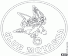 Insigne de CD Motagua. Club de football de Tegucigalpa, Honduras