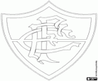 Emblème de Fluminense FC, club de sport et de équipe de football à Rio de Janeiro, Brésil