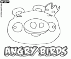 Roi Cochon apparaît à la fin des jeu Angry Birds