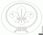 Emblème de l'Organisation mondiale du Mouvement Scout. Logo de l'OMMS. Fleur de lys entouré d'un morceau de corde nouée