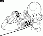 Toad avec un kart. Toad est un citoyen du Royaume Champignon et loyal serviteur de la princesse Peach