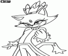 Blaze the Cat, une princesse et un des amies de Sonic