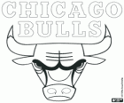 Logo Chicago Bulls, équipe de la NBA. Division Centrale, Conférence Est
