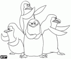Les Pingouins de Madagascar