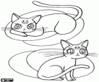 Luna et Artémis, les chats sont conseillers des différents personnages dans les histoires de Sailor Moon
