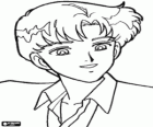 L'attrayant Darien ou Mamoru Chiba, un des protagonistes de Sailor Moon