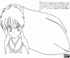 La tête d'Inuyasha avec ses cheveux longs