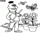 Bert à prendre soin du jardin avec quelques fleurs dans les pots
