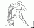 Verseau. Porteur d'eau. Onzième signe du zodiaque. Le nom latin est Aquarius