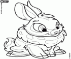 Cybunny, le jolie petit lapin de Neopets