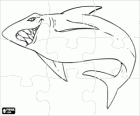 Puzzle de requin. Casse-tête de poissons