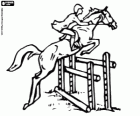 Saut d'obstacles. Le cavalier et le cheval dans un saut