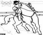 Équitation aux Jeux olympiques