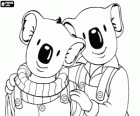 Frank et Buster, les frères koala