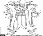Reliez les points pour terminer le dessin de Nord, Père Noël, personnage de Les Cinq légendes