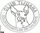 Logo de Club Tijuana Xoloitzcuintles de Caliente, Xolos de Tijuana. Équipe de football mexicain
