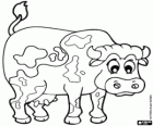 Vache