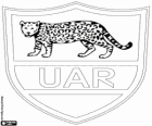 Logo de l'équipe nationale de rugby de l'Argentine, los pumas. Emblème, le jaguar