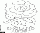 Logo de l'équipe nationale de rugby d'Angleterre. Emblème, la rose rouge