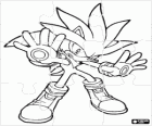 Casse-tête de Silver the Hedgehog, le hérisson qui vient de l'avenir