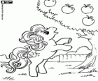 Une petite pouliche, un petit poney essayer de manger une pomme de l'arbre