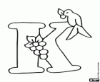 Lettre K avec un petit oiseau et une grappe de fruits
