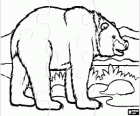 Puzzle d'un ours dans le paysage