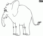Un éléphant avec défenses, vu de côté