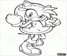 Casse-tête de Amy Rose, la petite amie de Sonic