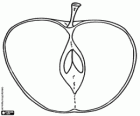 Une pomme est divisé en deux, la section de fruits
