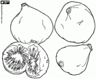 Quatre figues, fruits du figuier