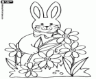 Un lapin avec des fleurs au printemps