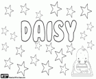 Daisy, son origine est le nom en anglais d'une fleur, la marguerite
